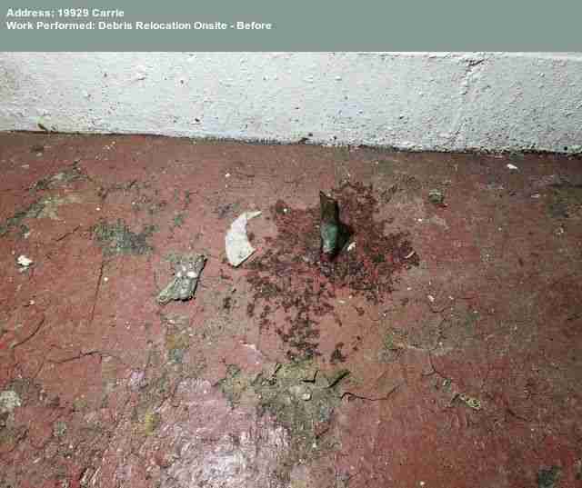 Testing again(26).jpg